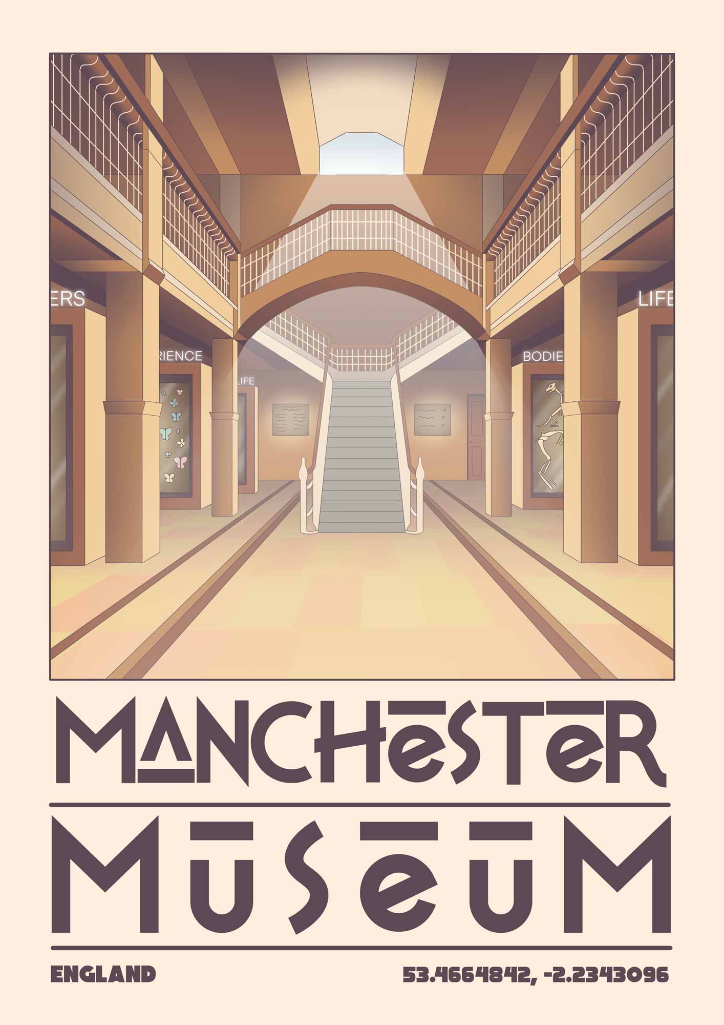 Inside Manchester Museum