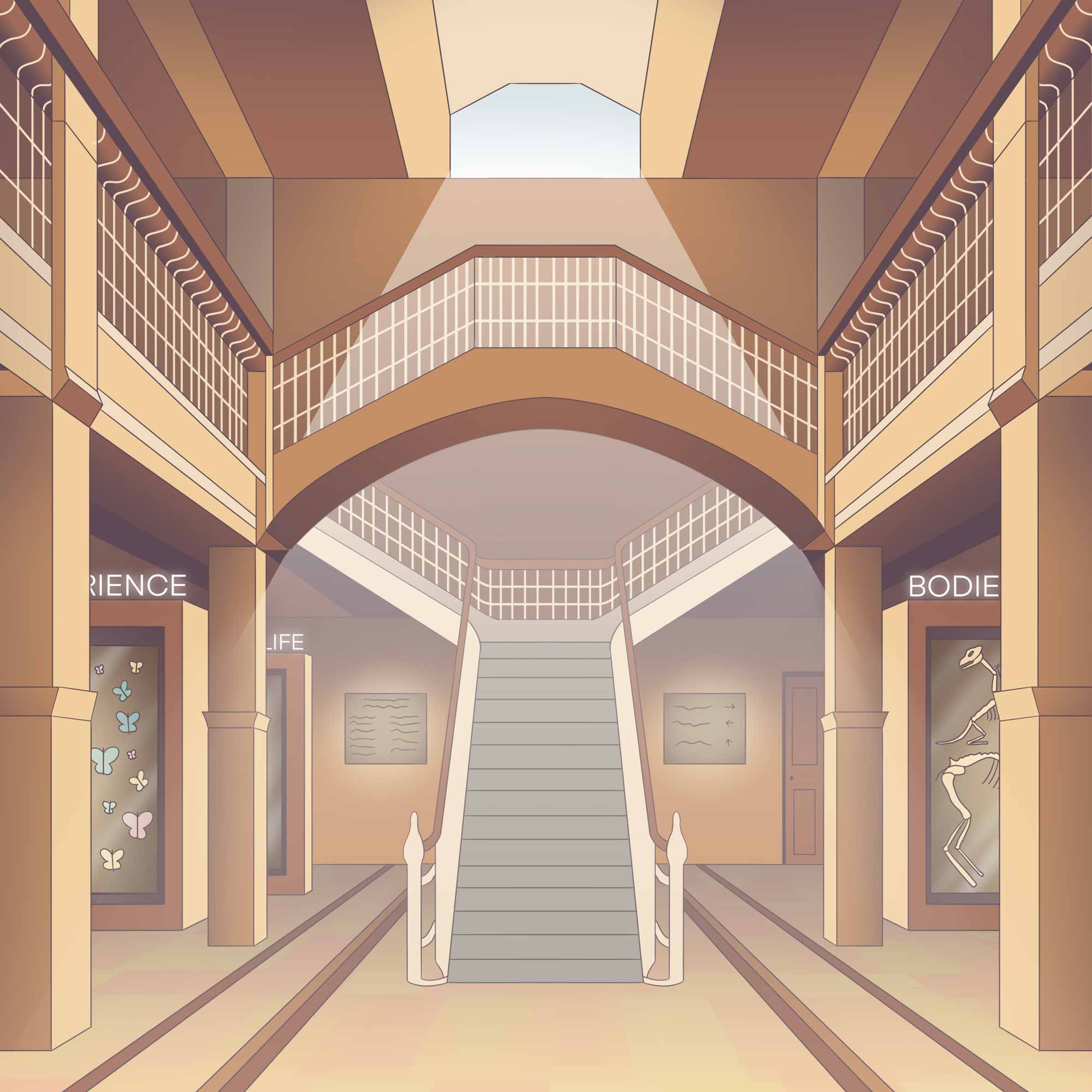 Inside Manchester Museum